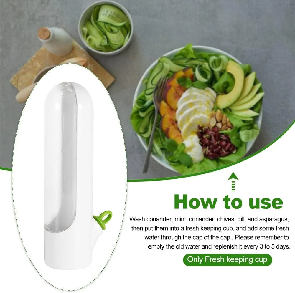 FreshVault™ – Die Frischebox für Kräuter & Gemüse | 1+1 GRATIS