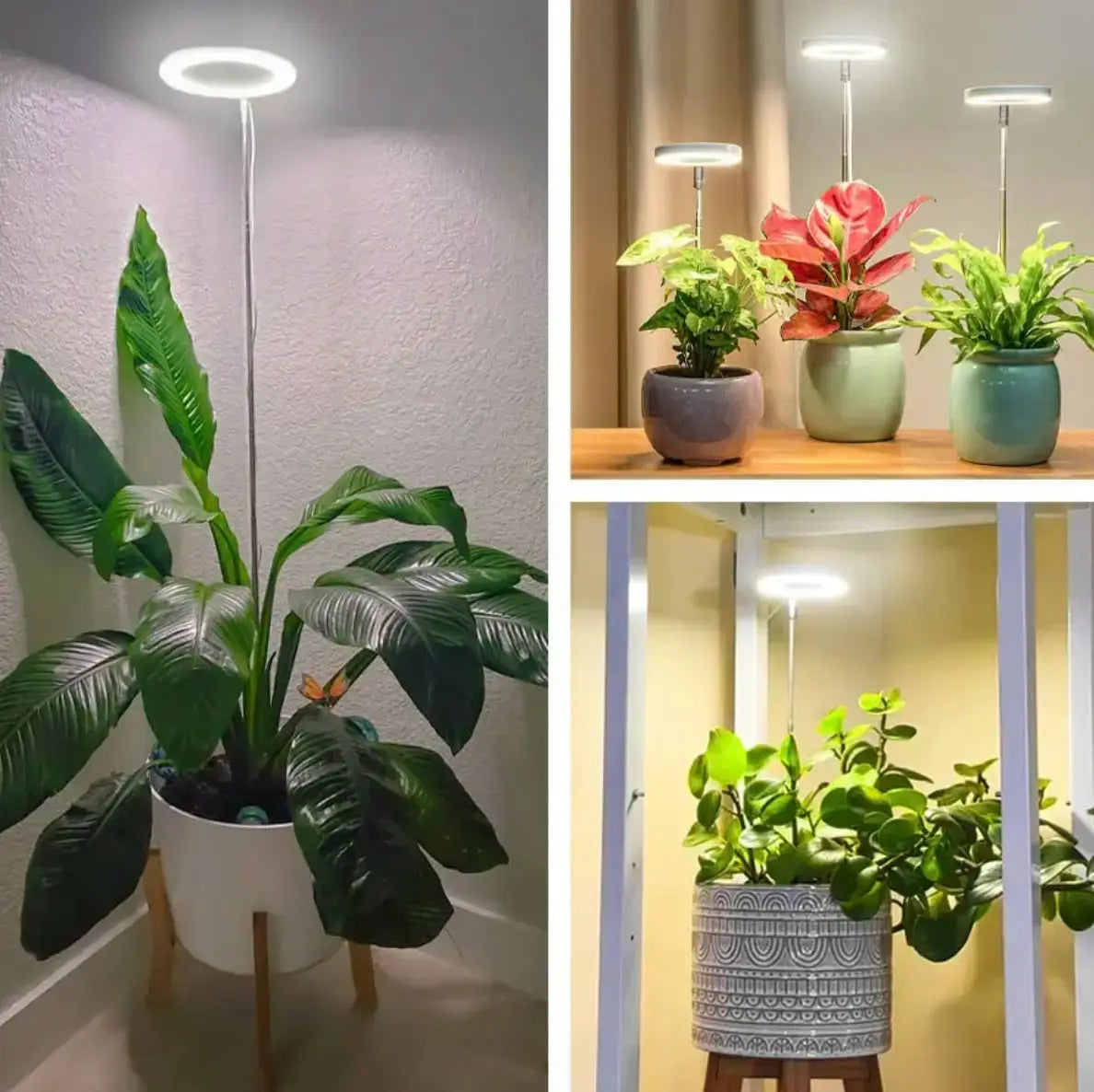 PlantLumen™ – Das Sonnenlicht für Zimmerpflanzen, auch ohne Fenster