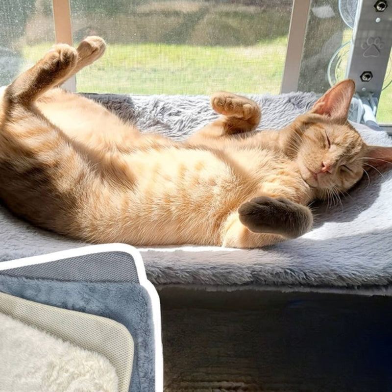 PurrRelax™ – Faltbare Katzen-Hängematte für Fenster & Heizkörper (Nur heute: 50 % RABATT!)