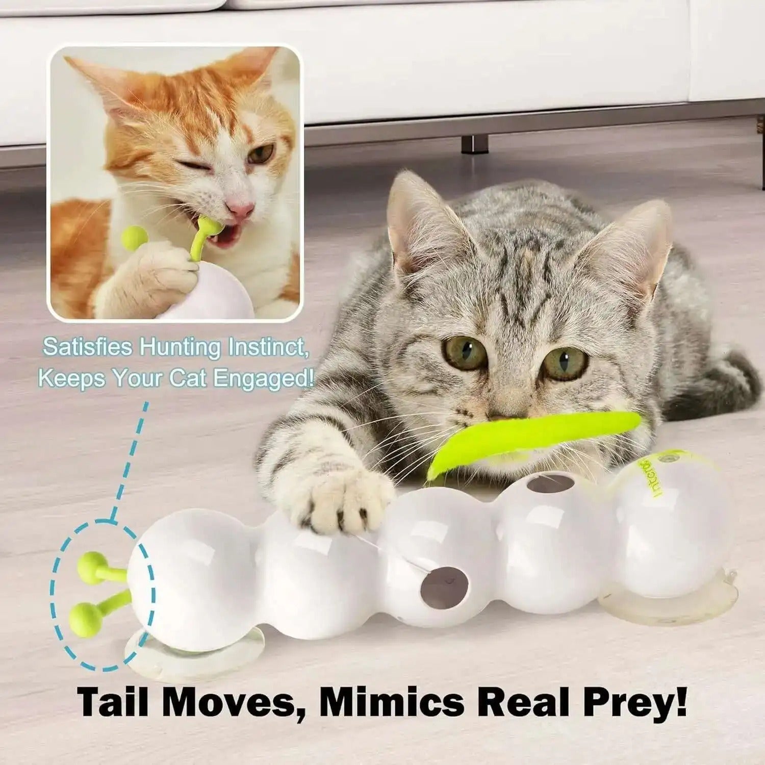 JagdWurm™ – Das interaktive Wandspielzeug für aktive & glückliche Katzen