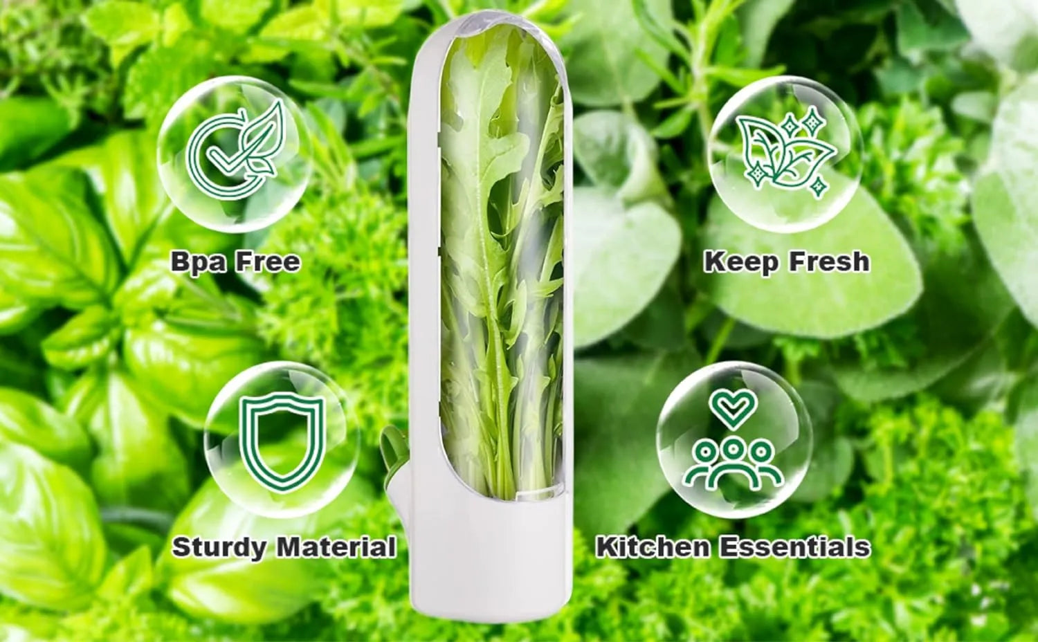 FreshVault™ – Die Frischebox für Kräuter & Gemüse | 1+1 GRATIS
