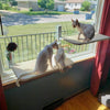 PurrRelax™ – Faltbare Katzen-Hängematte für Fenster & Heizkörper (Nur heute: 50 % RABATT!)