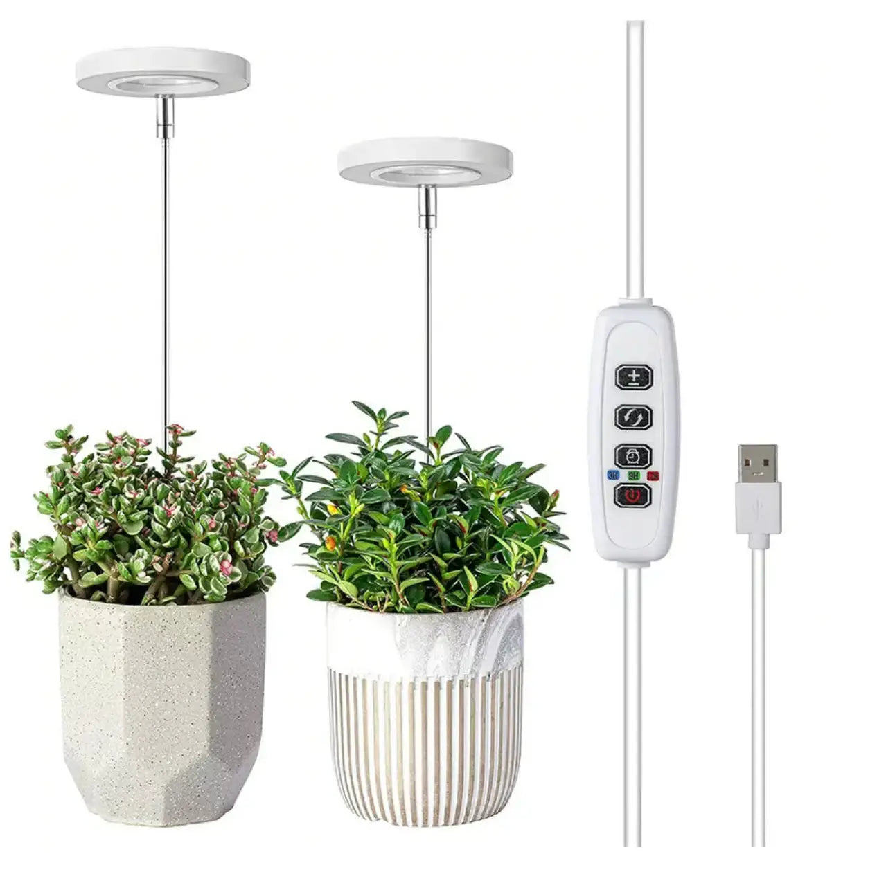 PlantLumen™ – Das Sonnenlicht für Zimmerpflanzen, auch ohne Fenster