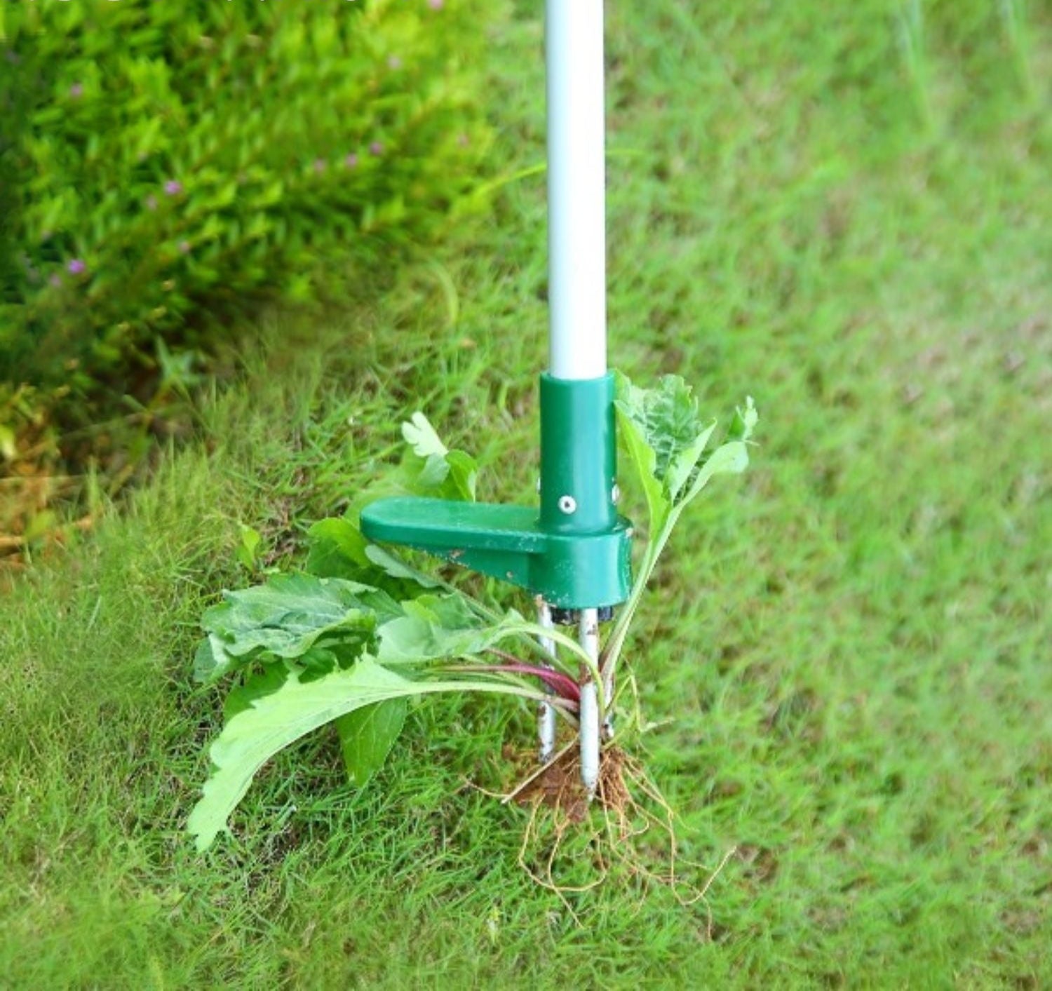 WurzelWeg™ - Stehende Pflanze Wurzelentferner