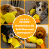 🐾 SoothingDuck™ – Die Kalmernde Kuscheltier für Dein Haustier