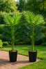 2er-Set Künstliche Palmen – Frühlingsfrisches Deko-Highlight für Haus & Garten (65 cm)