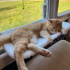 PurrRelax™ – Faltbare Katzen-Hängematte für Fenster & Heizkörper (Nur heute: 50 % RABATT!)