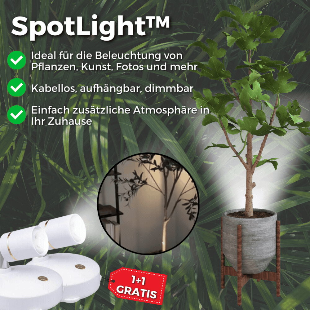 1+1  GRATIS | SpotLight - Kabelloser LED-Strahler