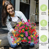 Floria™ – Die Immer Schönen Kunstblumen, die Nie Verwelken