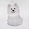 PawMemories™ – Transparenter Haustier-Haar Anhänger | Persönliches Erinnerungsstück & Memorial Geschenk für Tierliebhaber