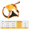 PowerPaw Pro™ – Robustes Hundegeschirr mit reißfester Retraktorleine, verstellbarem Halsband & atmungsaktivem Mesh für mittelgroße & große Hunde