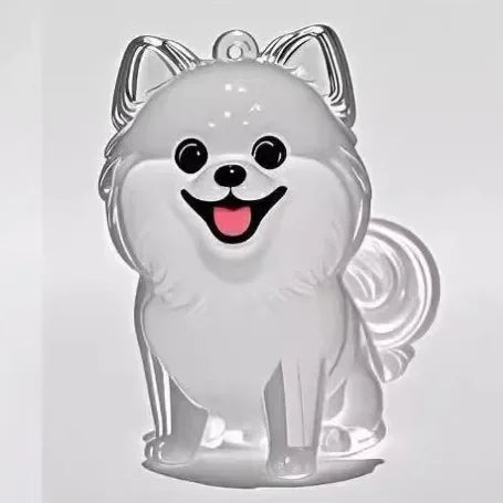 PawMemories™ – Transparenter Haustier-Haar Anhänger | Persönliches Erinnerungsstück & Memorial Geschenk für Tierliebhaber