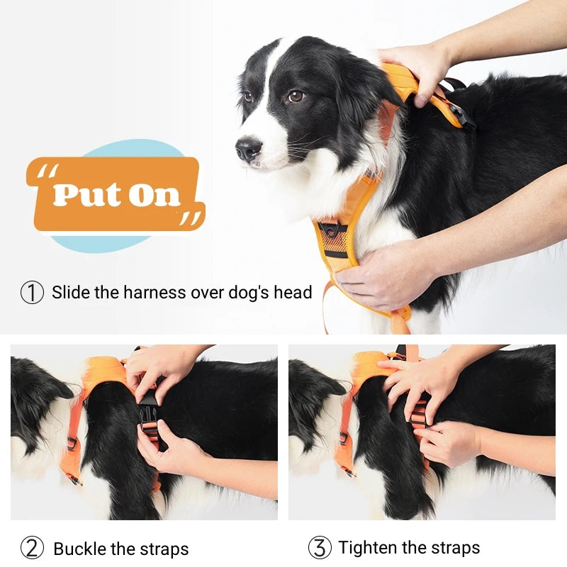 PowerPaw Pro™ – Robustes Hundegeschirr mit reißfester Retraktorleine, verstellbarem Halsband & atmungsaktivem Mesh für mittelgroße & große Hunde
