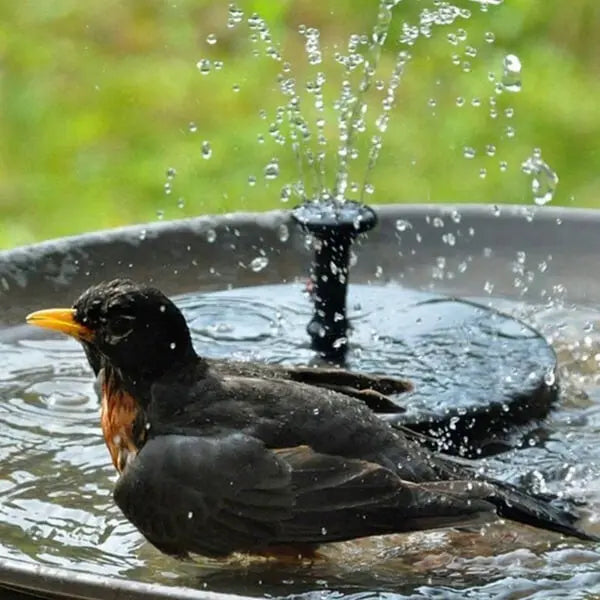 AquaLuma™ – Der solarbetriebene Gartenbrunnen
