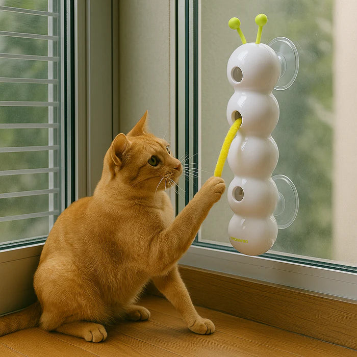 JagdWurm™ – Das interaktive Wandspielzeug für aktive & glückliche Katzen