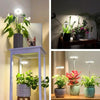 PlantLumen™ – Das Sonnenlicht für Zimmerpflanzen, auch ohne Fenster