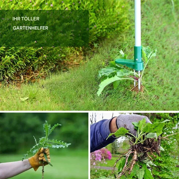 WurzelWeg™ - Stehende Pflanze Wurzelentferner