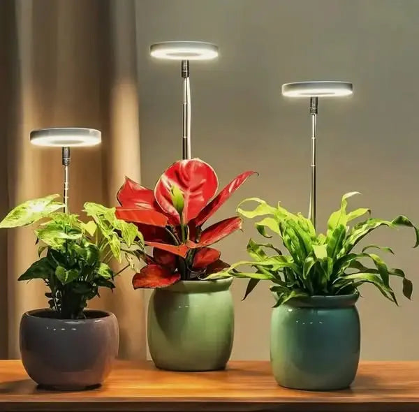 PlantLumen™ – Das Sonnenlicht für Zimmerpflanzen, auch ohne Fenster