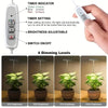 PlantLumen™ – Das Sonnenlicht für Zimmerpflanzen, auch ohne Fenster