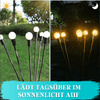 Glühwürmchen Gartenlichter – Verwandeln dunkle Abende in magische Erlebnisse!